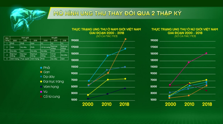 80% bệnh nhân ung thư gan do virus viêm gan B và C - 2