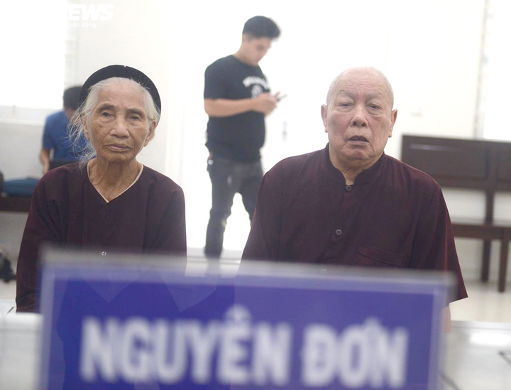 Vì sao hoãn phiên xét xử vụ con dâu khai tử bố mẹ chồng đang sống để chiếm đất? - 1