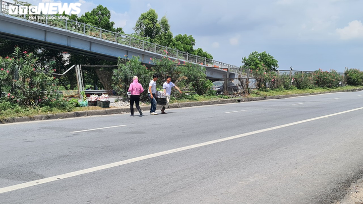 Công nhân liều mạng xé rào chắn, cắt đầu ô tô, băng qua quốc lộ - 11