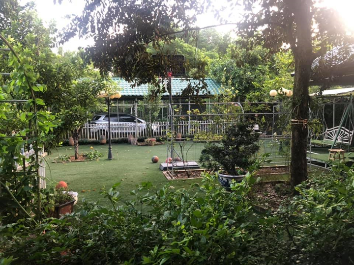 Tôn gia trang - nơi NSND Thanh Hoa 'sống như nông dân thực thụ' - 3