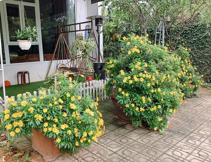 Tôn gia trang - nơi NSND Thanh Hoa 'sống như nông dân thực thụ' - 6