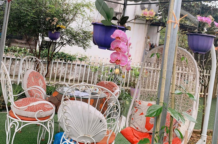 Tôn gia trang - nơi NSND Thanh Hoa 'sống như nông dân thực thụ' - 5