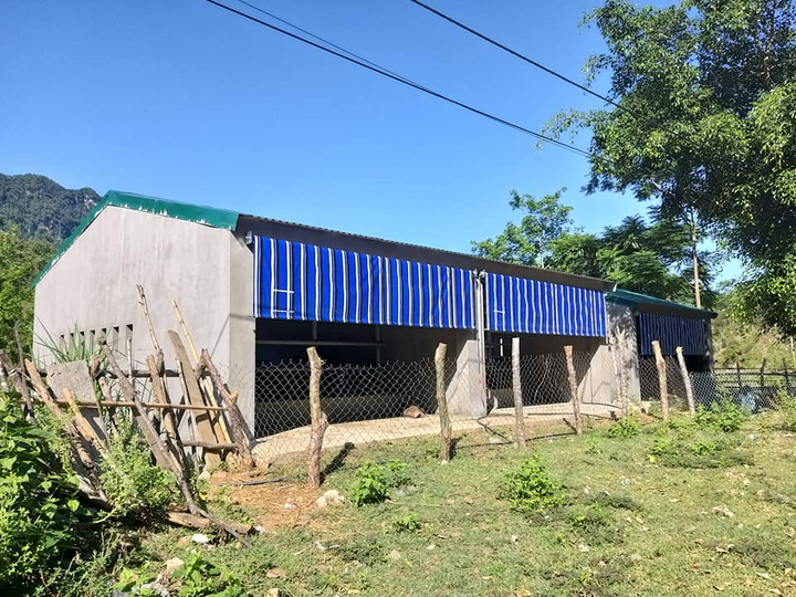 Trúng thầu xây 67 chuồng bò giá 11,4 tỷ đồng ở Nghệ An, đơn vị thi công kêu lỗ - 1