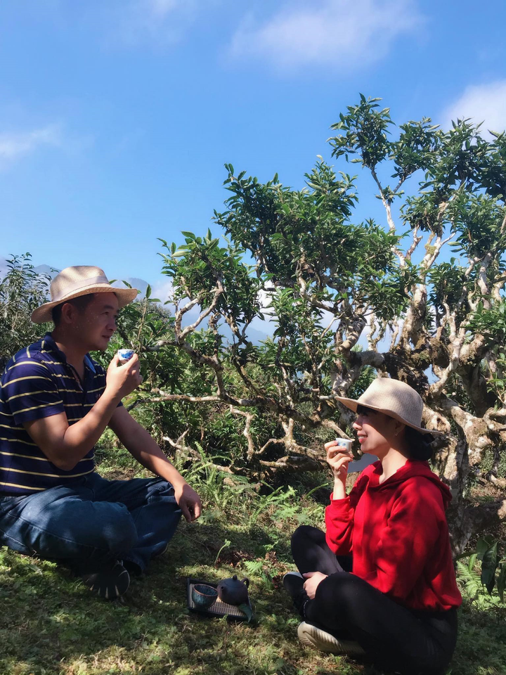 Chuyện chưa biết về một ‘đạo trà’ từ cuộc chiến chống quân Trung Quốc xâm lược - 3