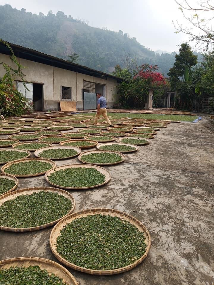 Chuyện chưa biết về một ‘đạo trà’ từ cuộc chiến chống quân Trung Quốc xâm lược - 9