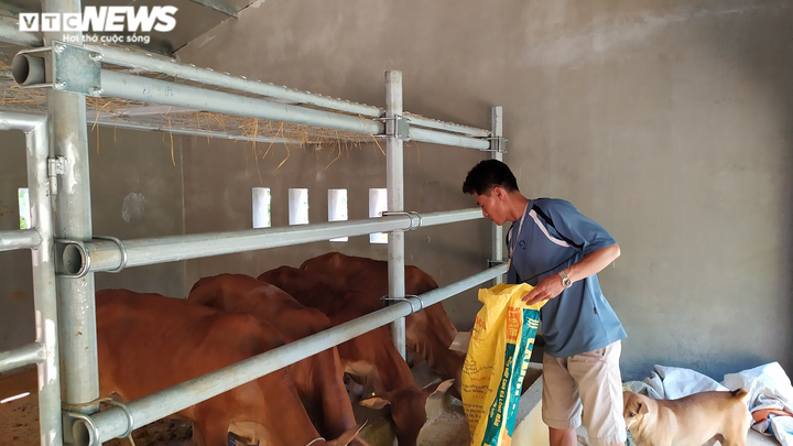 Trúng thầu xây 67 chuồng bò giá 11,4 tỷ đồng ở Nghệ An, đơn vị thi công kêu lỗ - 3