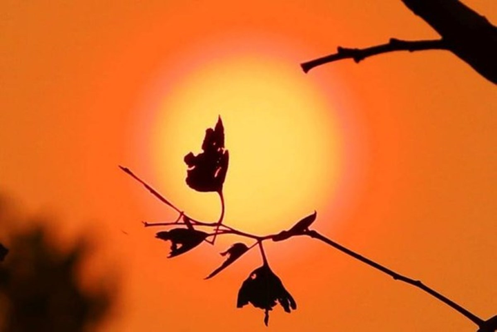 Miền Bắc nắng nóng gay gắt, tối có 'mưa vàng' giải nhiệt - 1