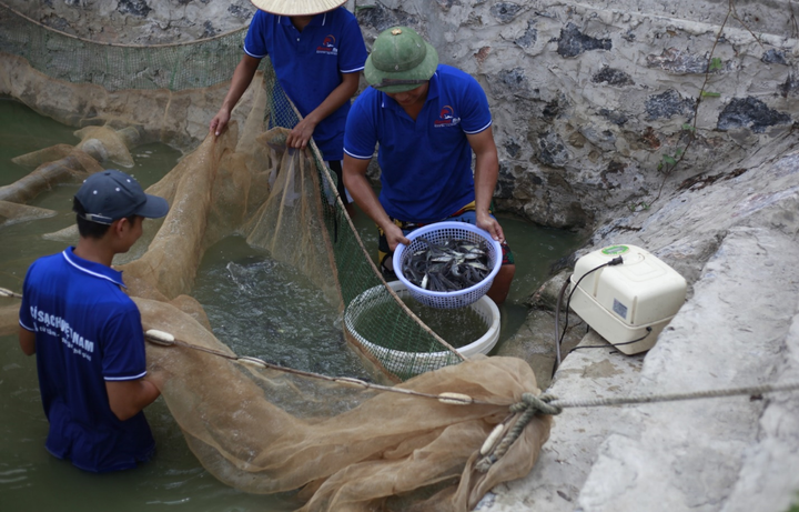 Hợp tác 3 bên mang cá sạch, an toàn đến từng hộ gia đình - 1