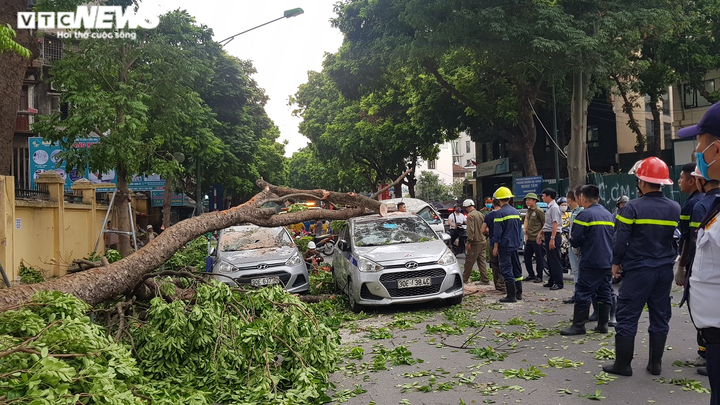 Cành cây cổ thụ trong bệnh viện 108 gãy, đè trúng 3 ô tô - 2