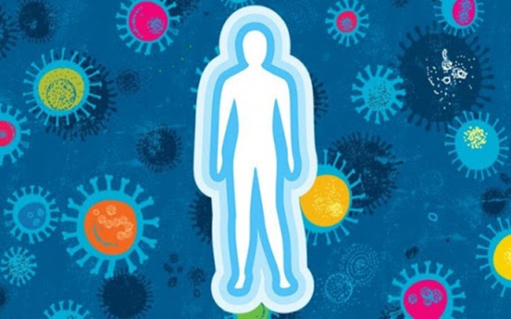 Những bộ phận nào của cơ thể dễ bị virus corona tấn công? - 9