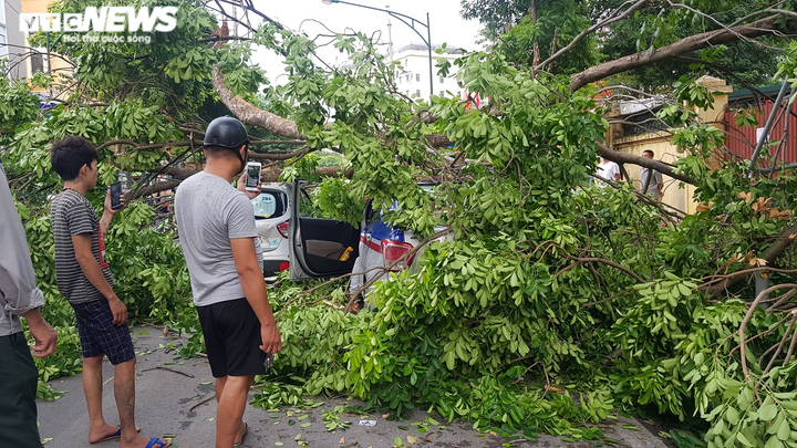Cành cây cổ thụ trong bệnh viện 108 gãy, đè trúng 3 ô tô - 1