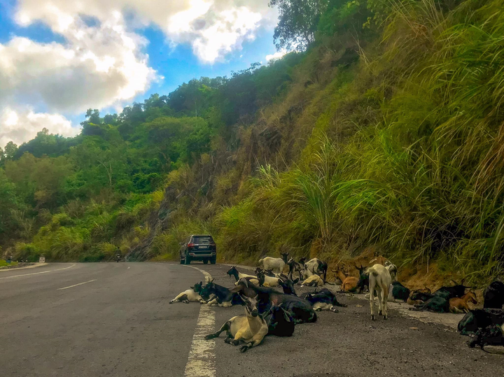 Vịnh Lan Hạ: Đảo ngọc thiên đường ở Cát Bà - 9