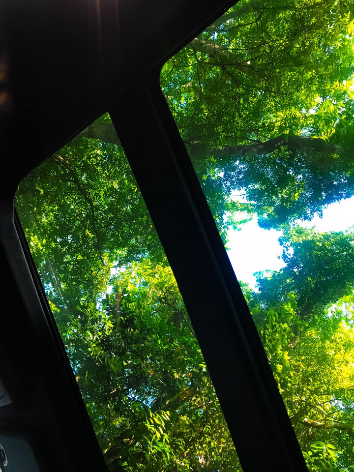 Vịnh Lan Hạ: Đảo ngọc thiên đường ở Cát Bà - 7