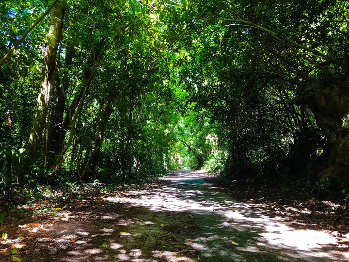 Vịnh Lan Hạ: Đảo ngọc thiên đường ở Cát Bà - 6