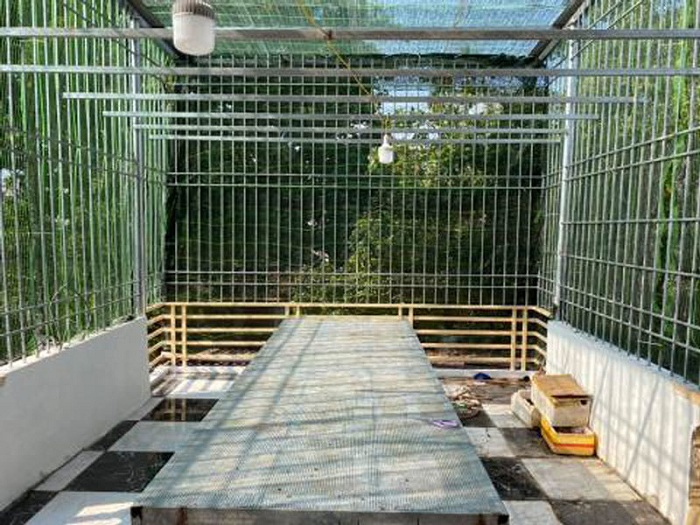 Trái đắng cơn sốt lan Phi điệp đột biến: Ôm cả chục tỷ đồng rồi bỏ trốn - 2