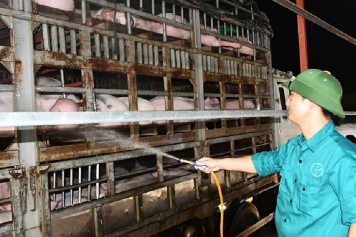 Thái Lan giảm xuất khẩu thịt lợn sang Việt Nam - 2