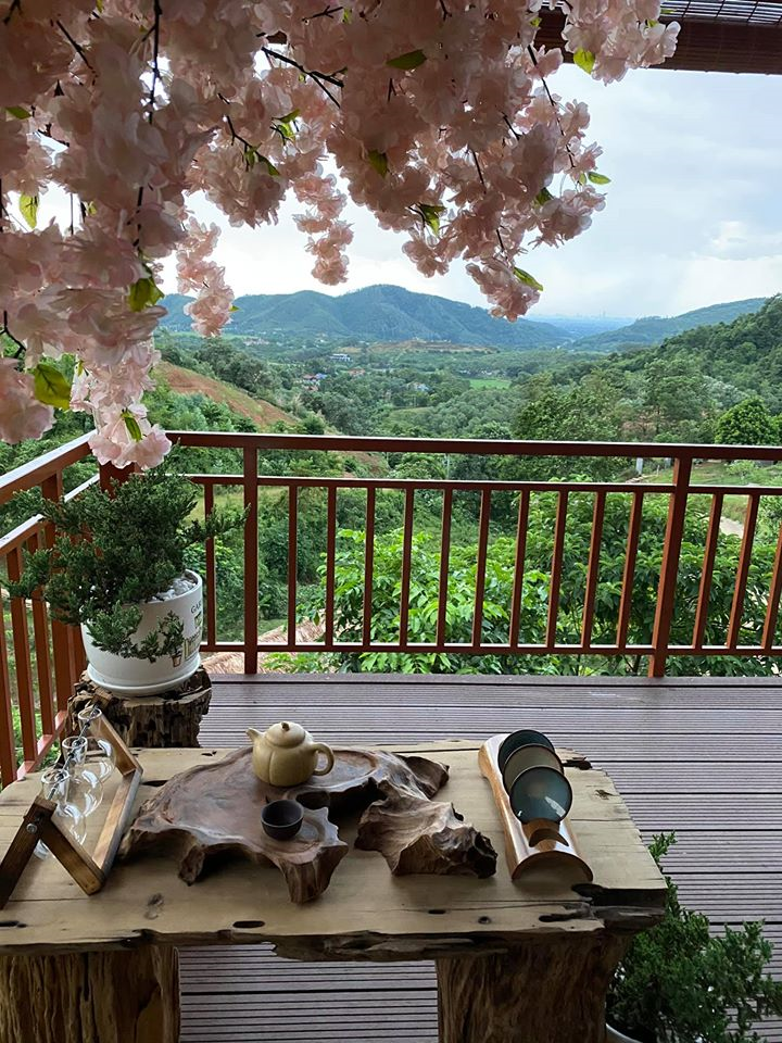 Hai cơ ngơi rộng bát ngát có cả nhà tranh vách đất của ca sĩ Việt Hoàn - 12