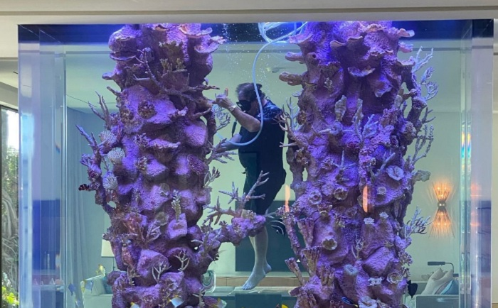 Biệt thự hướng biển đẹp như thiên đường giá 34 triệu USD - 4