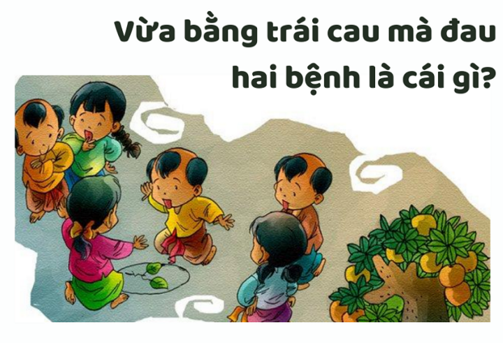Cái gì vừa bằng trái cau mà đau 2 bệnh? - 1