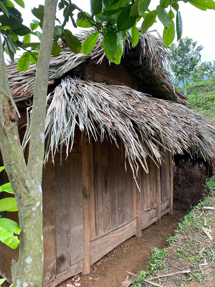 Hai cơ ngơi rộng bát ngát có cả nhà tranh vách đất của ca sĩ Việt Hoàn - 10