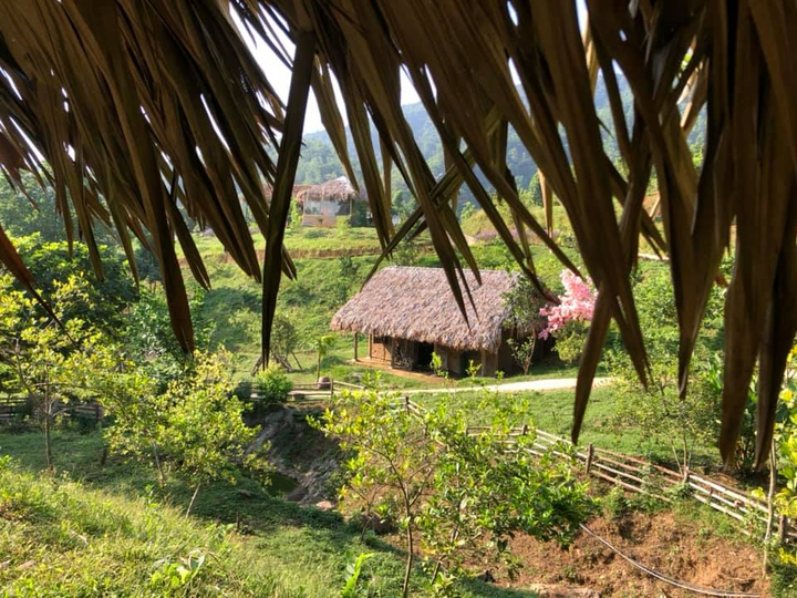 Hai cơ ngơi rộng bát ngát có cả nhà tranh vách đất của ca sĩ Việt Hoàn - 7