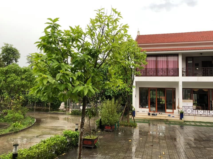 Hai cơ ngơi rộng bát ngát có cả nhà tranh vách đất của ca sĩ Việt Hoàn - 3