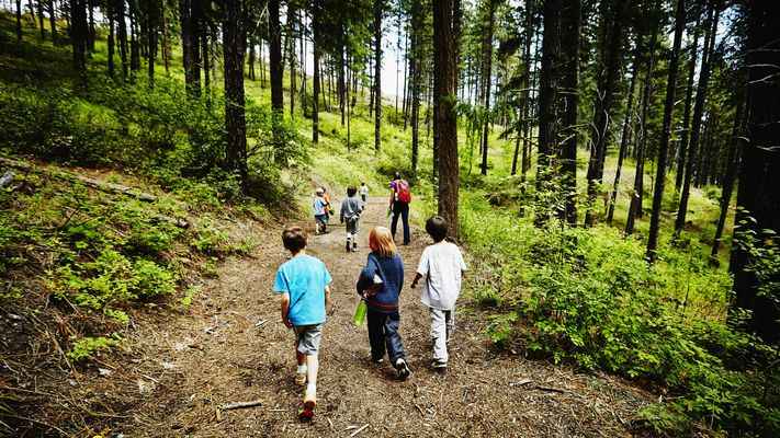 Tổ chức trại hè giữa mùa dịch, hàng trăm trẻ em Mỹ mắc COVID-19 - 1