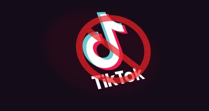 Vì sao Mỹ quyết diệt TikTok? - 1
