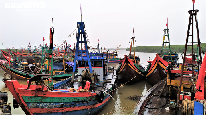 Ảnh: Tàu thuyền ở Thanh Hóa, Nghệ An cập bờ, neo đậu ứng phó bão số 2 - 2