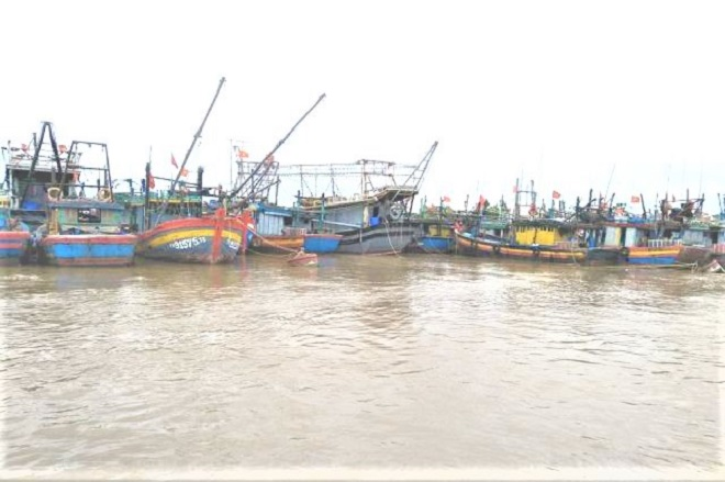 Ảnh: Tàu thuyền ở Thanh Hóa, Nghệ An cập bờ, neo đậu ứng phó bão số 2 - 9