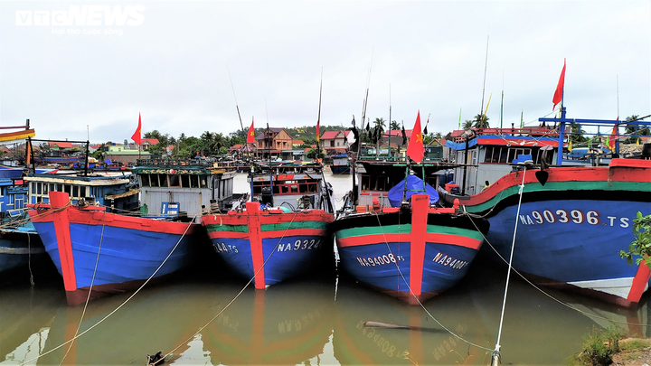Ảnh: Tàu thuyền ở Thanh Hóa, Nghệ An cập bờ, neo đậu ứng phó bão số 2 - 1