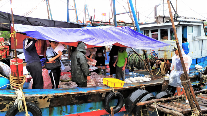 Ảnh: Tàu thuyền ở Thanh Hóa, Nghệ An cập bờ, neo đậu ứng phó bão số 2 - 3