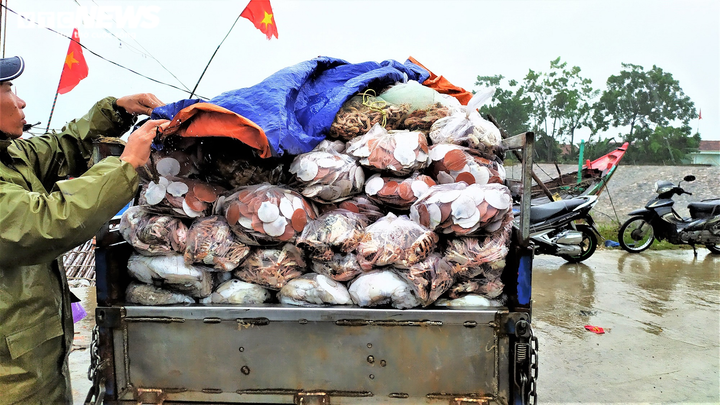 Ảnh: Tàu thuyền ở Thanh Hóa, Nghệ An cập bờ, neo đậu ứng phó bão số 2 - 5