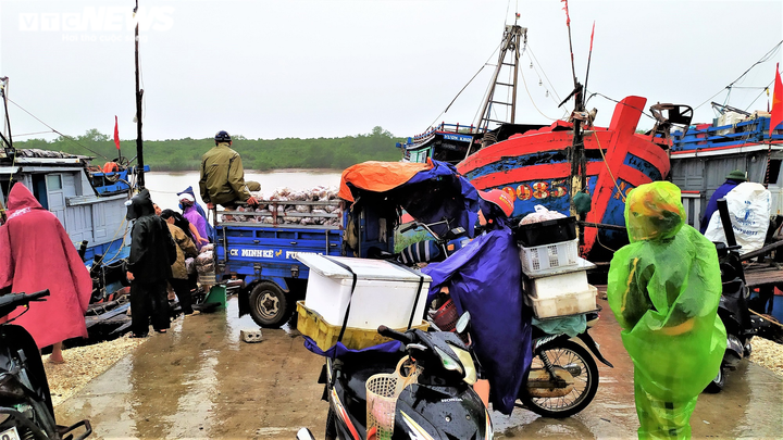 Ảnh: Tàu thuyền ở Thanh Hóa, Nghệ An cập bờ, neo đậu ứng phó bão số 2 - 4