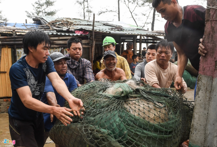 Ngư dân Sầm Sơn kéo thuyền lên lề đường tránh bão - 5