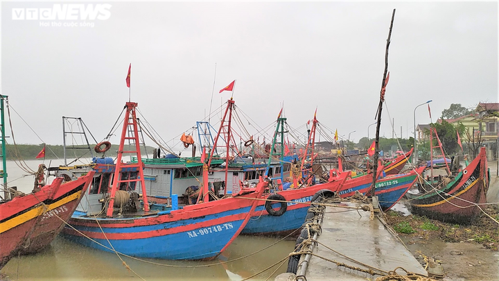 Ảnh: Tàu thuyền ở Thanh Hóa, Nghệ An cập bờ, neo đậu ứng phó bão số 2 - 8