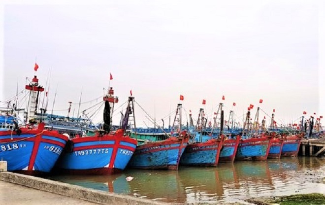 Ảnh: Tàu thuyền ở Thanh Hóa, Nghệ An cập bờ, neo đậu ứng phó bão số 2 - 10