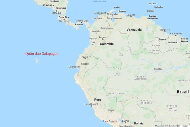 Mỹ lên án tàu cá Trung Quốc đánh bắt kiểu tận diệt ở quần đảo Galapagos - 2