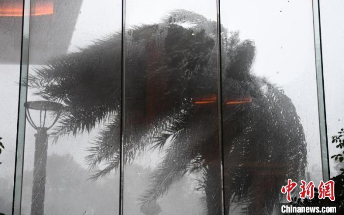 Trung Quốc: Bão Hagupit đổ bộ, nhiều nơi báo động đỏ về thiên tai địa chất - 1