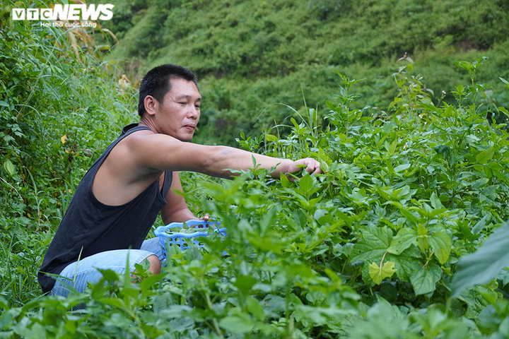 Bữa cơm chiều lạnh ngắt lúc nửa đêm của chiến sĩ cắm chốt ngăn nhập cảnh lậu - 8