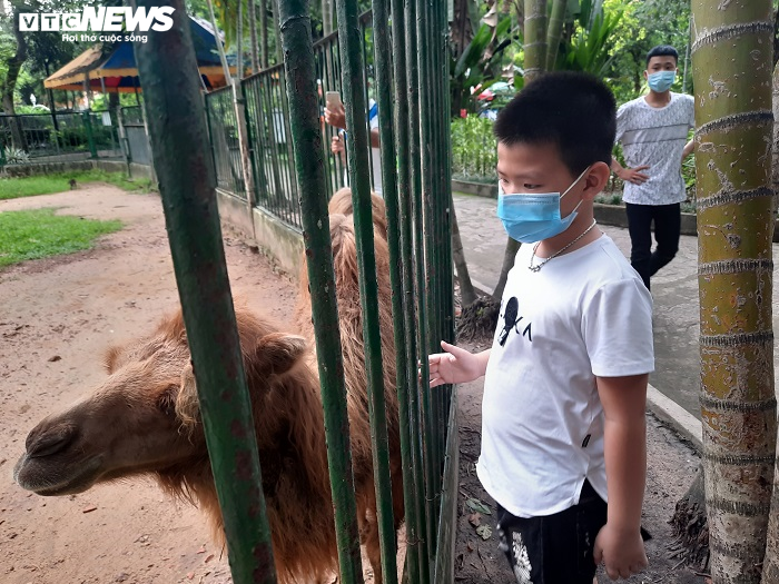 Giữa đại dịch COVID-19, thú ở Thảo Cầm Viên ăn uống thế nào? - 2