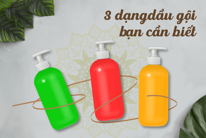 Giải mã sức hút của dầu gội thảo dược ArganAge với dân văn phòng - 2