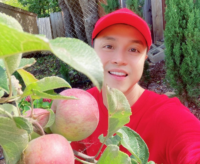 Nhật Tinh Anh kể chuyện đi xét nghiệm COVID-19 ở Mỹ - 2