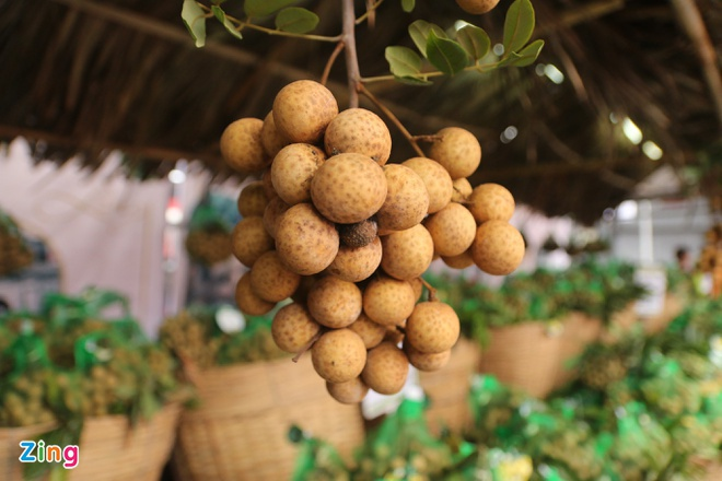 Nhãn Việt bán tại Australia gần 200.000 đồng/kg - 1