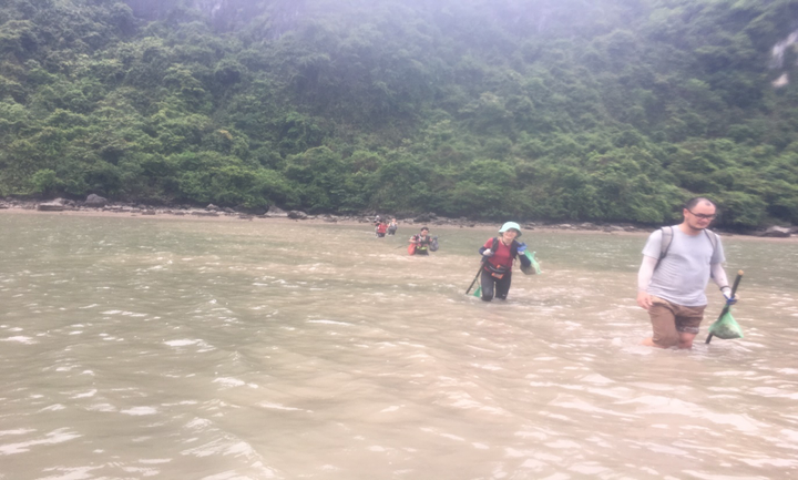 Trải nghiệm xuyên rừng quốc gia Cát Bà - 10