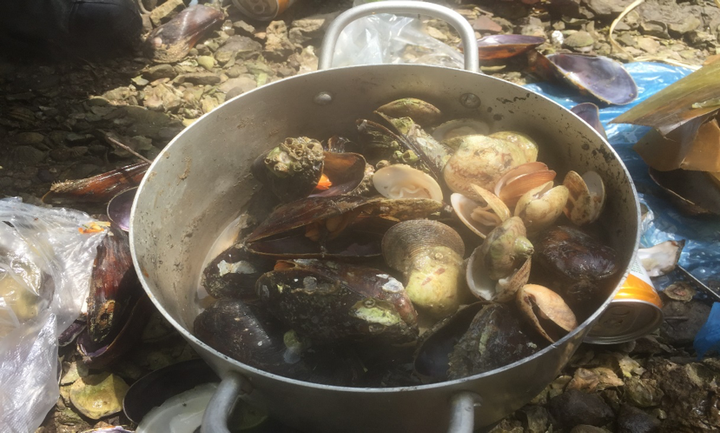 Trải nghiệm xuyên rừng quốc gia Cát Bà - 11