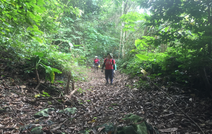 Trải nghiệm xuyên rừng quốc gia Cát Bà - 12