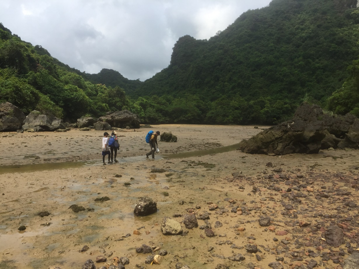 Trải nghiệm xuyên rừng quốc gia Cát Bà - 13