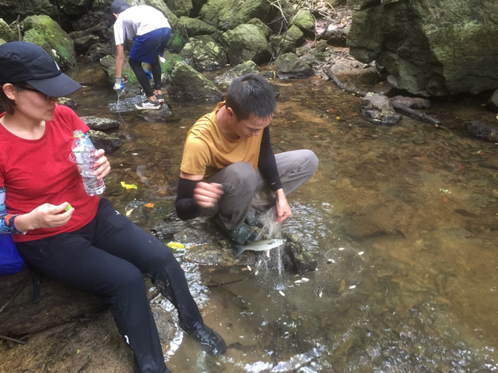 Trải nghiệm xuyên rừng quốc gia Cát Bà - 14