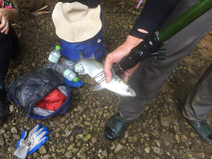 Trải nghiệm xuyên rừng quốc gia Cát Bà - 15